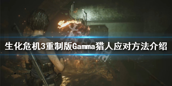 生化危机3重制版Gamma猎人怎么打（生化危机3重制版β猎人）