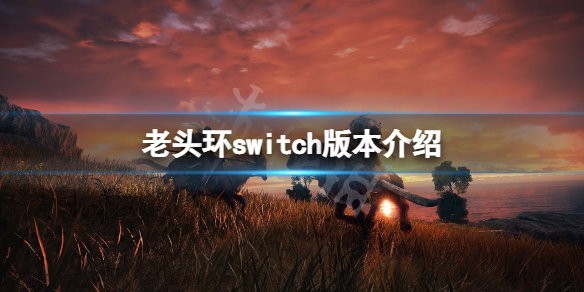 艾尔登法环switch能玩吗 艾尔登法环switch能玩吗?