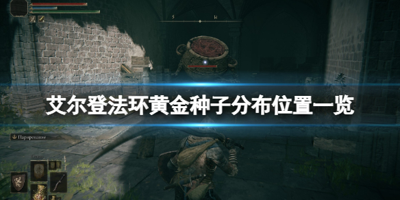 艾尔登法环黄金种子有什么用