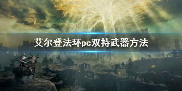 艾尔登法环pc怎么双持武器 艾尔登法环上pc吗
