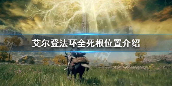 艾尔登法环死根如何收集 艾尔登法环截图