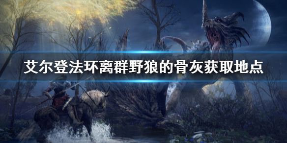 艾尔登法环离群野狼的骨灰去哪找（艾尔登法环和只狼）