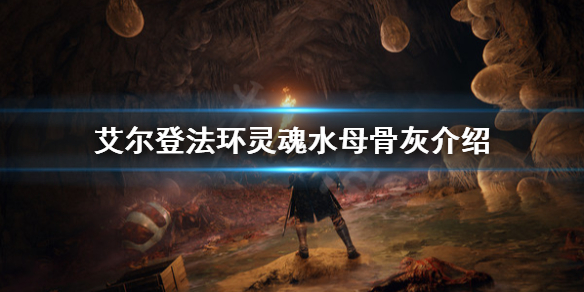 艾尔登法环灵魂水母是什么 艾尔登法环讲的是什么
