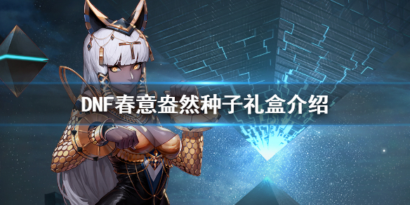 DNF春意盎然种子礼盒好吗（dnf新春礼盒）