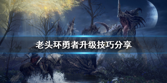 艾尔登法环勇者怎么升级（艾尔登法环攻略）