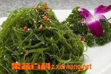 发菜是什么（发菜是什么植物）