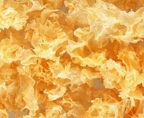 吃雪耳会怎样（雪耳吃多了没事吧?）