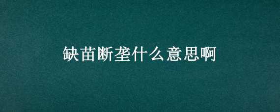 缺苗断垄什么意思啊 玉米缺苗断垄的原因大全