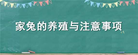 家兔的养殖与注意事项（家兔的养殖与注意事项视频）