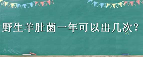 野生羊肚菌一年可以出几次