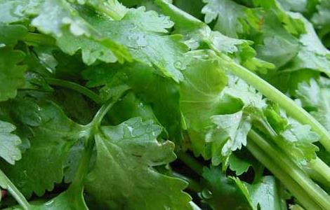 香菜的功效与作用