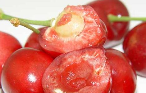 车厘子和樱桃的区别