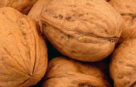 核桃的功效与作用