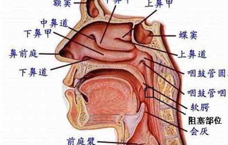 打鼾的原因及危害