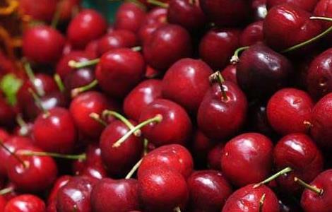 车厘子和樱桃的区别
