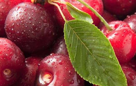车厘子和樱桃的区别