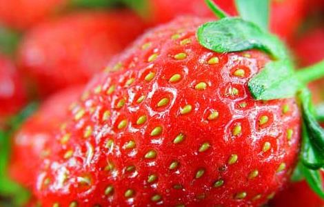 春季吃什么水果好