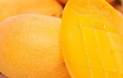 吃芒果过敏怎么办