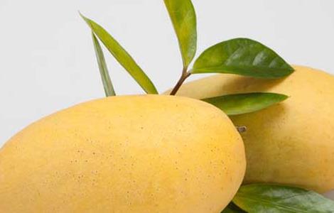 吃芒果过敏怎么办