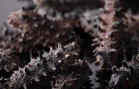 人造海参的危害和鉴别方法