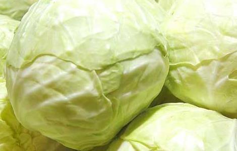 卷心菜能减肥吗