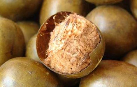 罗汉果怎么泡水喝