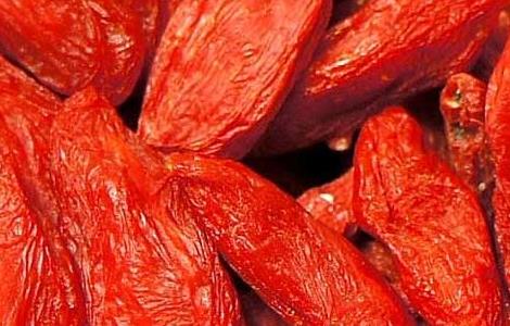 吃枸杞子能补肾吗