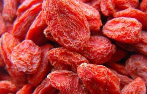 吃枸杞子可以减肥吗