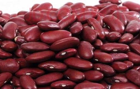 赤小豆能减肥吗