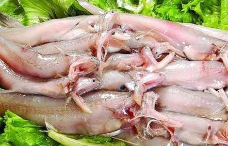 龙头鱼炒青菜