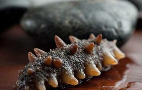 女人吃海参好吗