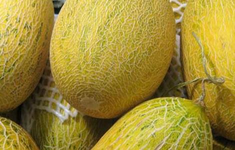 哈密瓜和什么榨汁好喝