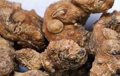 黄精的功效与作用