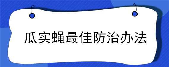 瓜实蝇最佳防治办法