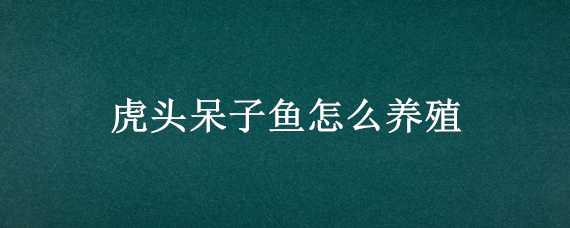 虎头呆子鱼怎么养殖 虎头呆子鱼怎么养殖方法