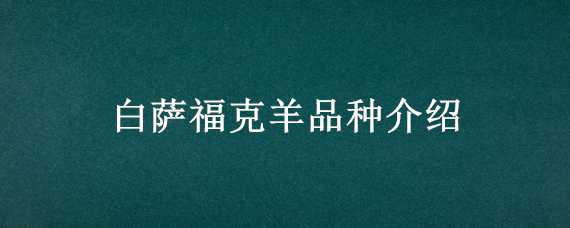 白萨福克羊品种介绍（纯种白萨福克羊图片）