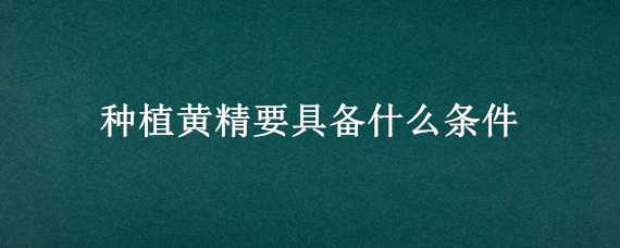 种植黄精要具备什么条件