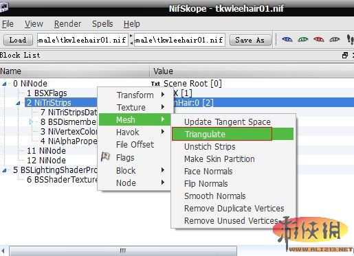 《上古卷轴5：天际》教你如何导入新的发型