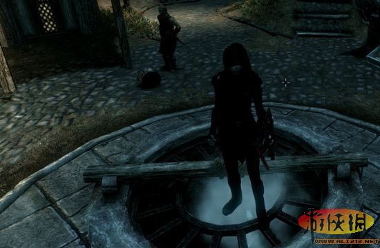 《上古卷轴5:天际》各种怪“病”的治疗方法【Bug解决】