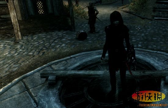 《上古卷轴5:天际》各种怪“病”的治疗方法【Bug解决】