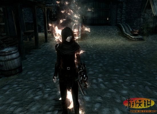 《上古卷轴5:天际》各种怪“病”的治疗方法【Bug解决】