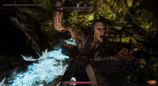 《上古卷轴5:天际》“葛兰蒂丝”同伴任务简易攻略