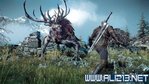 《巫师3:狂猎》昆特牌小技巧及战斗心得分享攻略