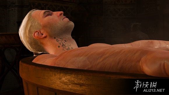 《巫师3:狂猎》国王刺客彩蛋图文赏析