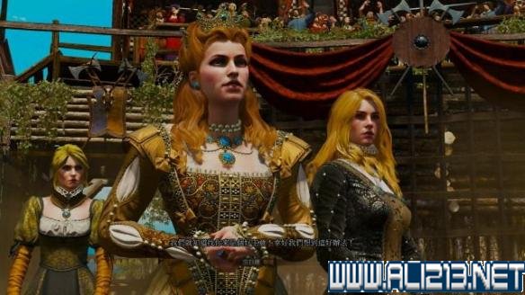 《巫师3：狂猎》血与酒及石之心DLC全剧情图文流程攻略 游戏介绍