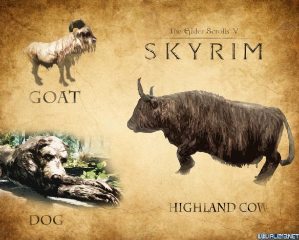 《上古卷轴5：天际》怪物图鉴一览 上古卷轴5敌人图鉴