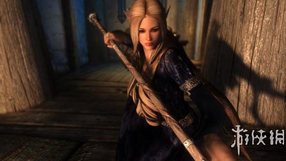 《上古卷轴5：天际》各类型美女随从MOD合集 独立随从飞扬MOD