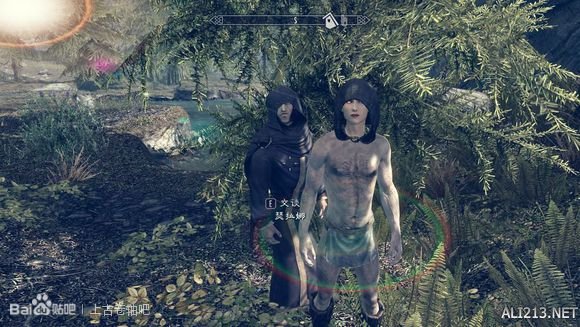 《上古卷轴5:天际》不能和大小姐瑟拉娜结婚原因分析