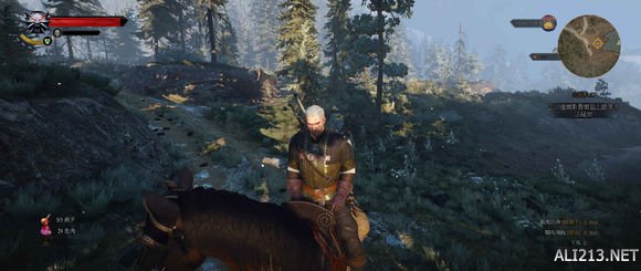 《巫师3:狂猎》21:9超宽屏体验感想