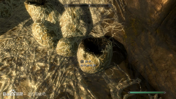 《上古卷轴5：天际》龙裔DLC小蜘蛛制作方法及效果一览